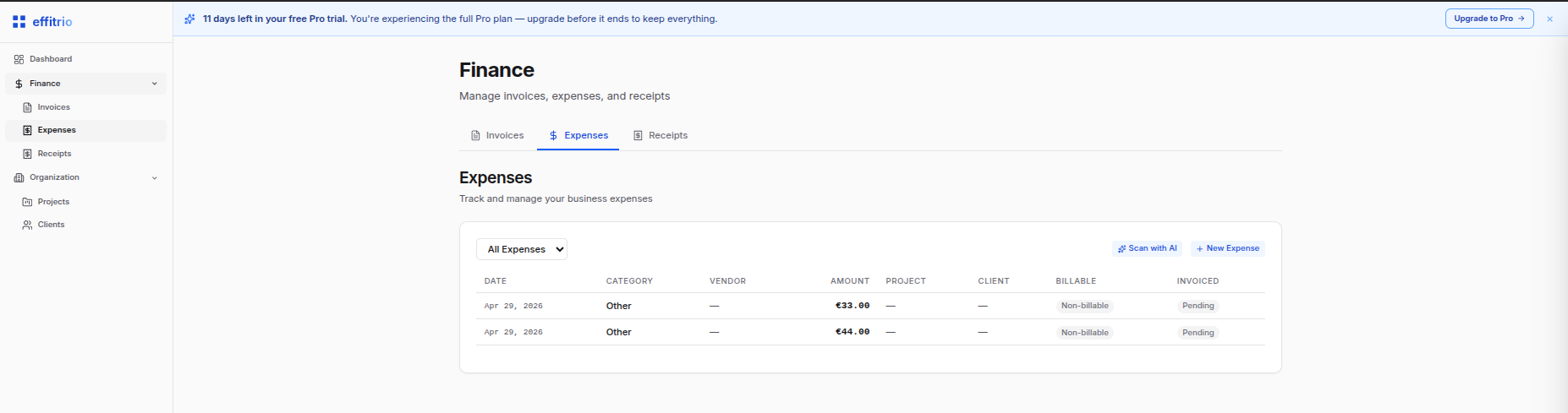 Expenses tab overview